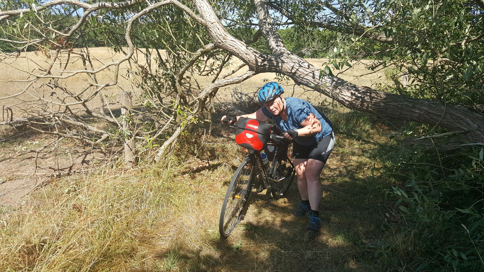 Cykelferie juli 2018 (80)
